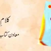 Kalam e Iqbal Muawin Kitab Barae Asatza Urdu Poetry Book Cover Manshurat