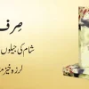 Sirf 5 Minute Syria Prison 9 Saal Ke Mazalim Urdu Book Cover Manshurat