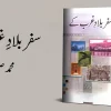Safar Bilad e Gharb Ke by Muhammad Sagheer Qamar Urdu Travel Book Cover
