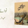 نوائےبےنوا