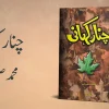 چنار کہانی