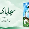 Jamal-e-Seerat by Khurram Murad