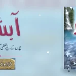 Aabshaar by Shahnawaz Farooqui